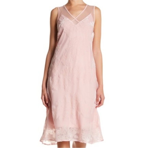 Spirit of Grace Pink Velvet Burnout Dress XS Balletcore Sheer Fairycore Mesh - Picture 1 of 12
